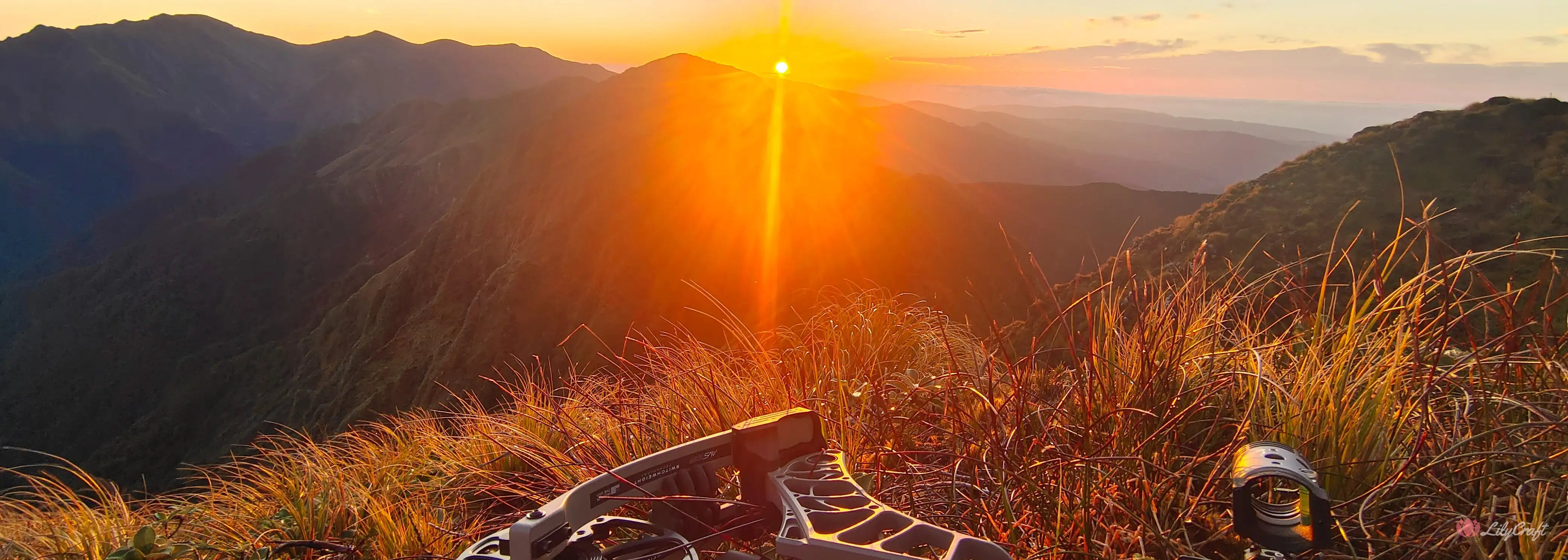 LilyCraft Gifts By Interest