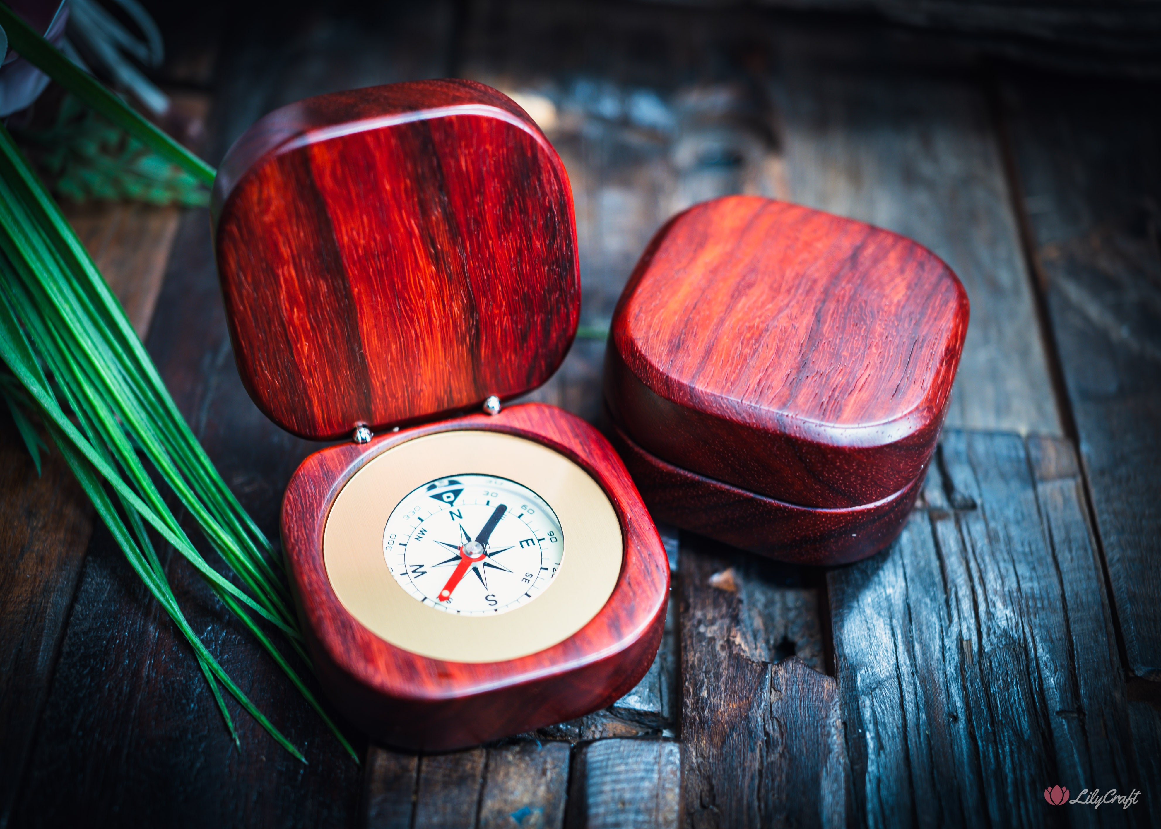 african padauk compass