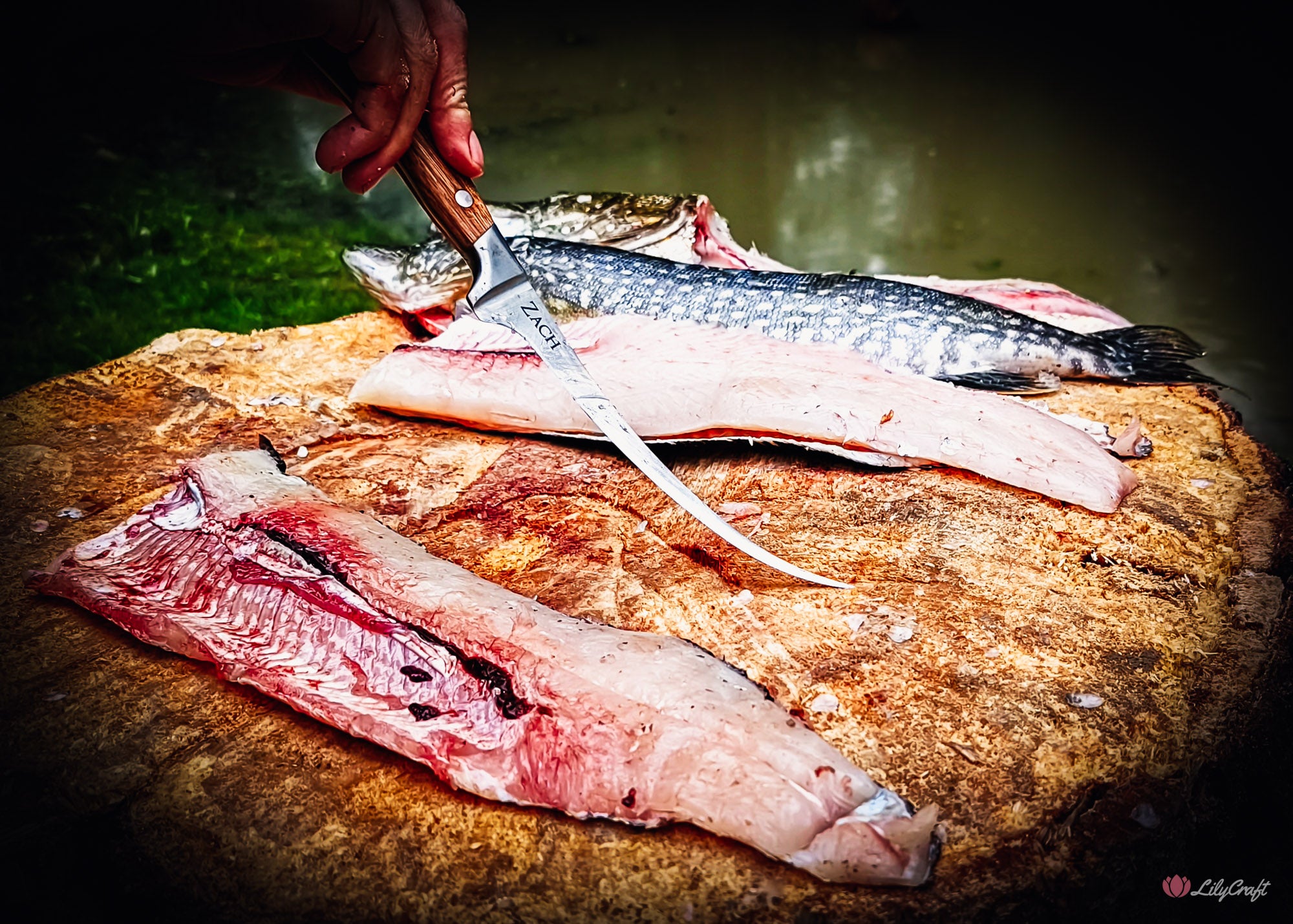 best flexible fish filleting knife australia