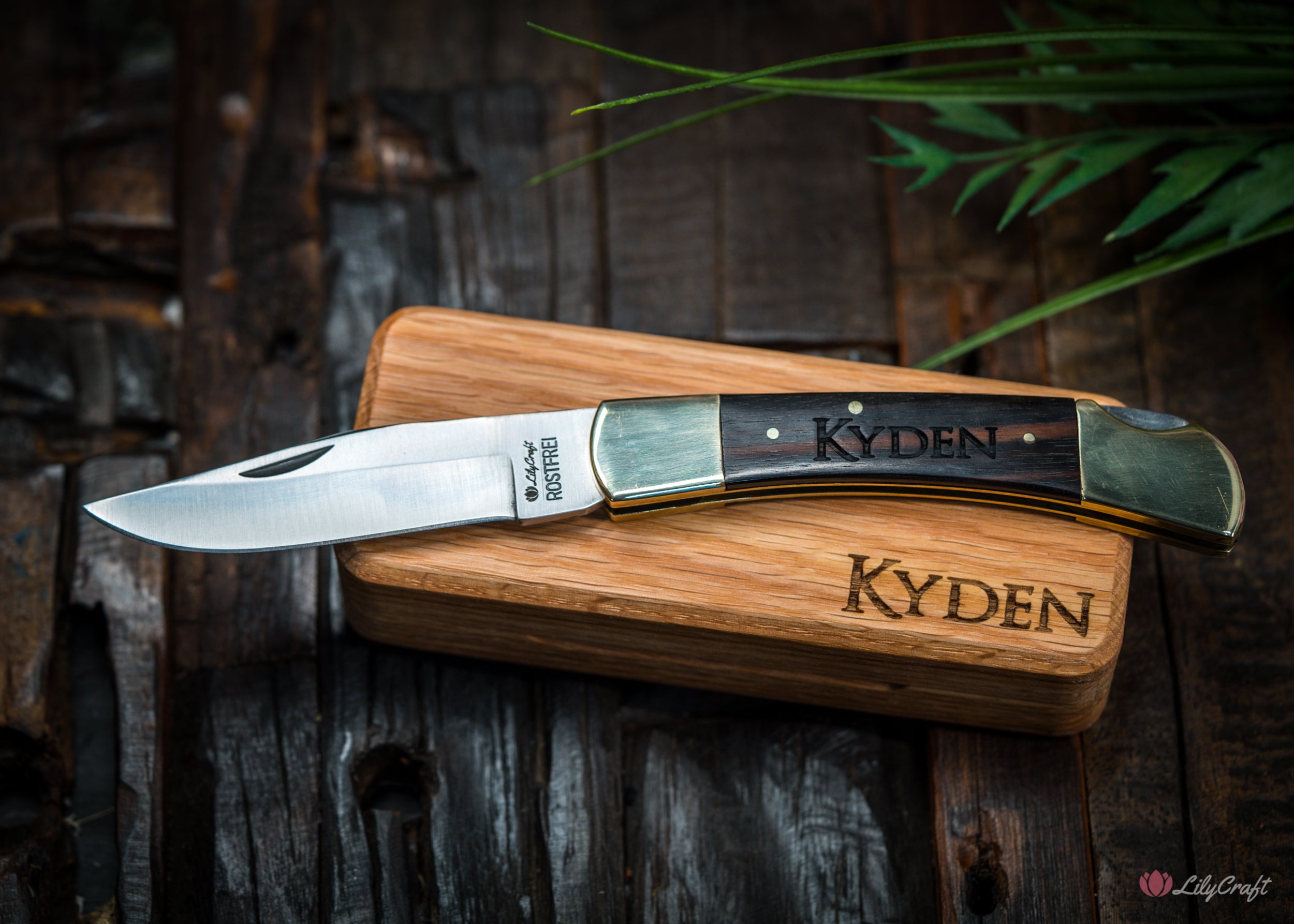 legant Ebony Wood handle and polished brass bolsters on the Rostfrei knife