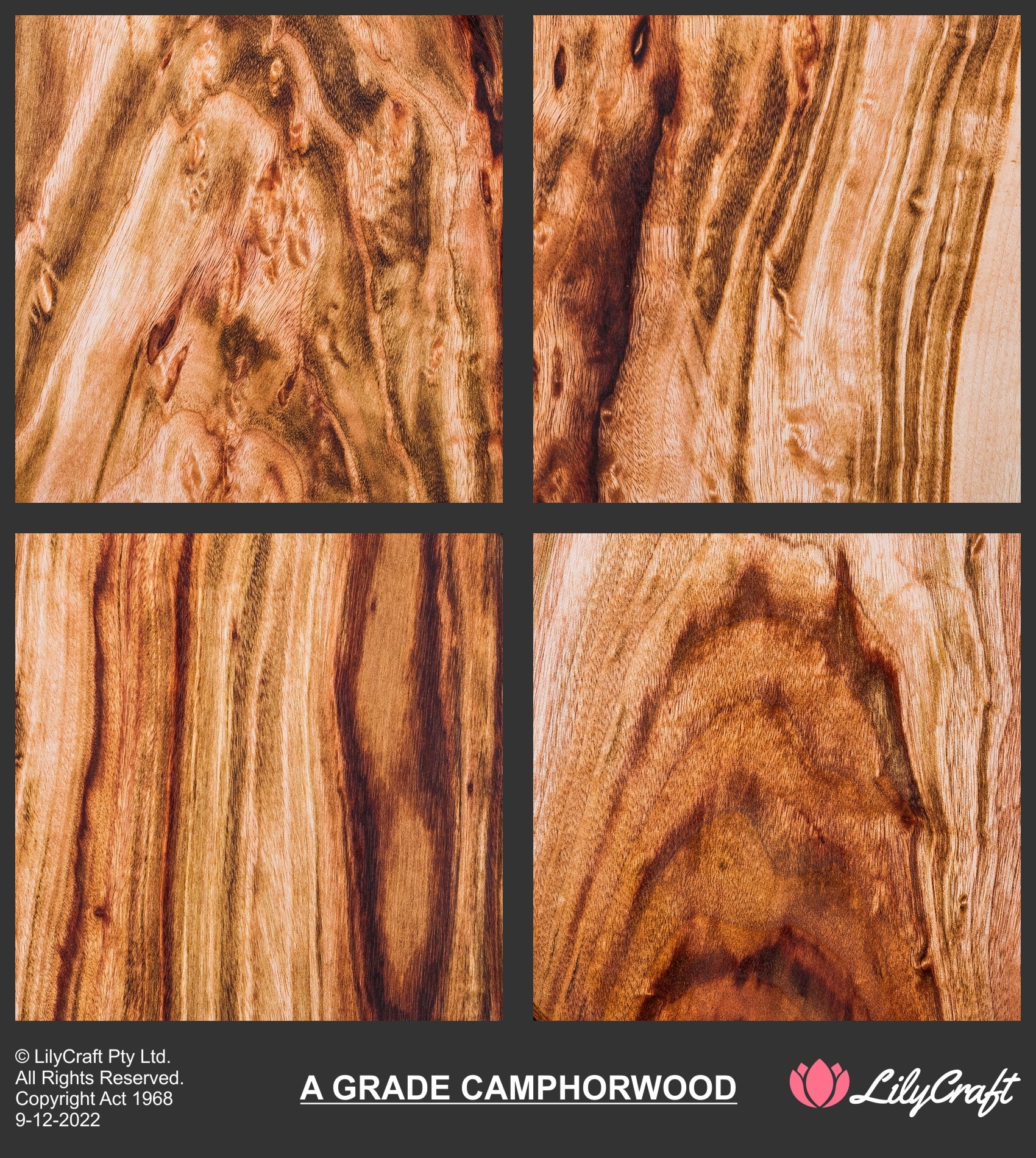 A Grade Camphor Wood LilyCraft