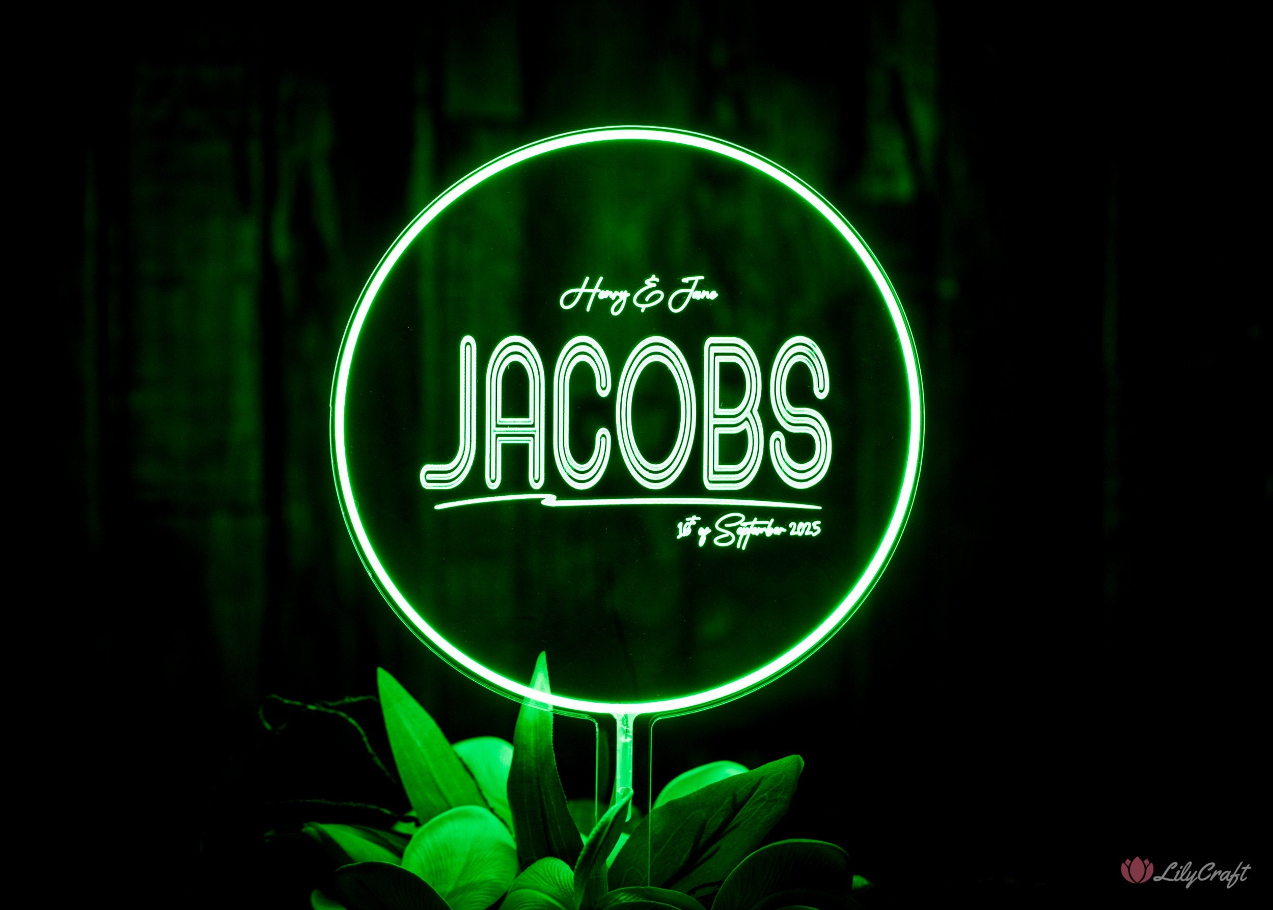 green light up wedding cake topper