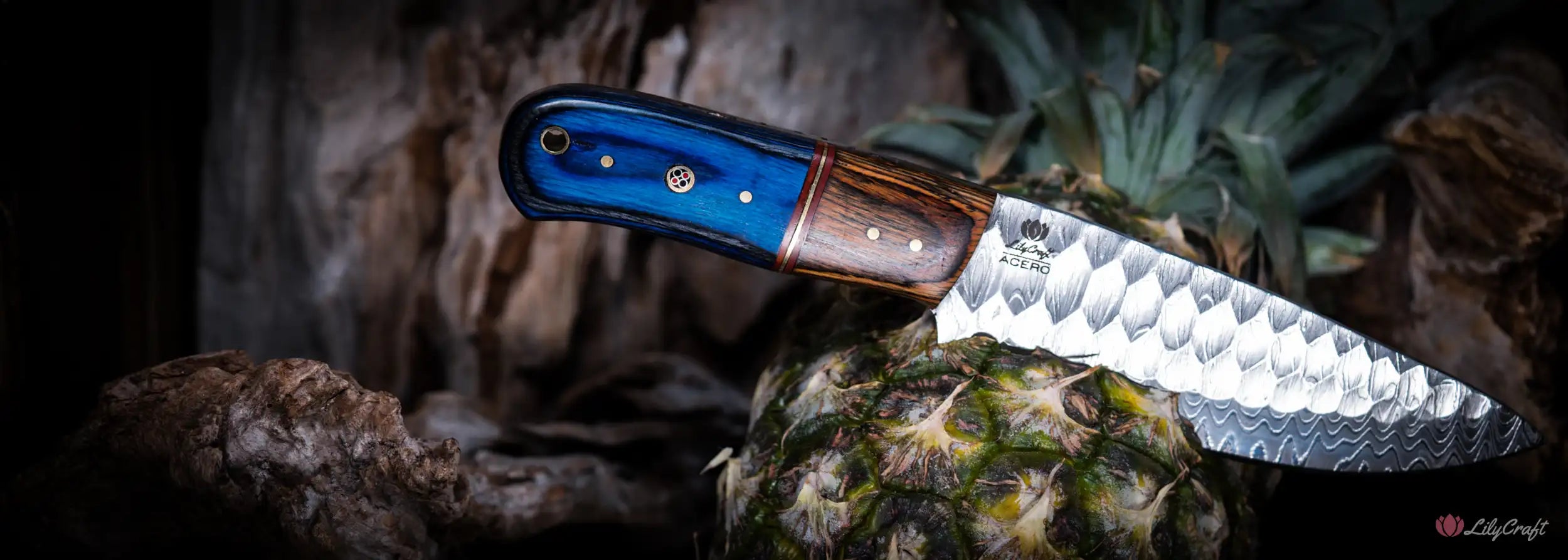 best outdoor chefs hunting and camping knife