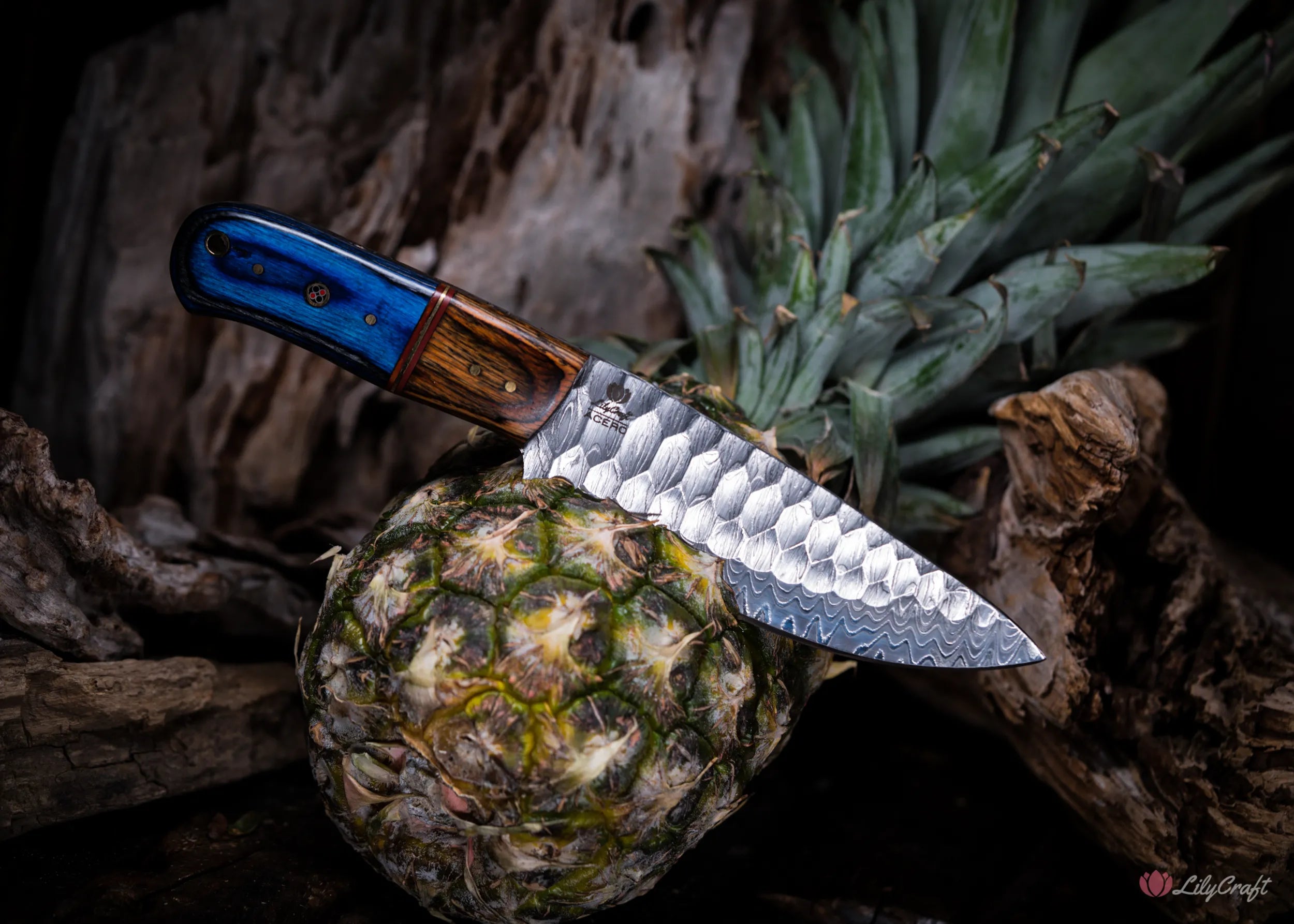 field kitchen knife for camping and hunting