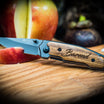 folding fruit knife 