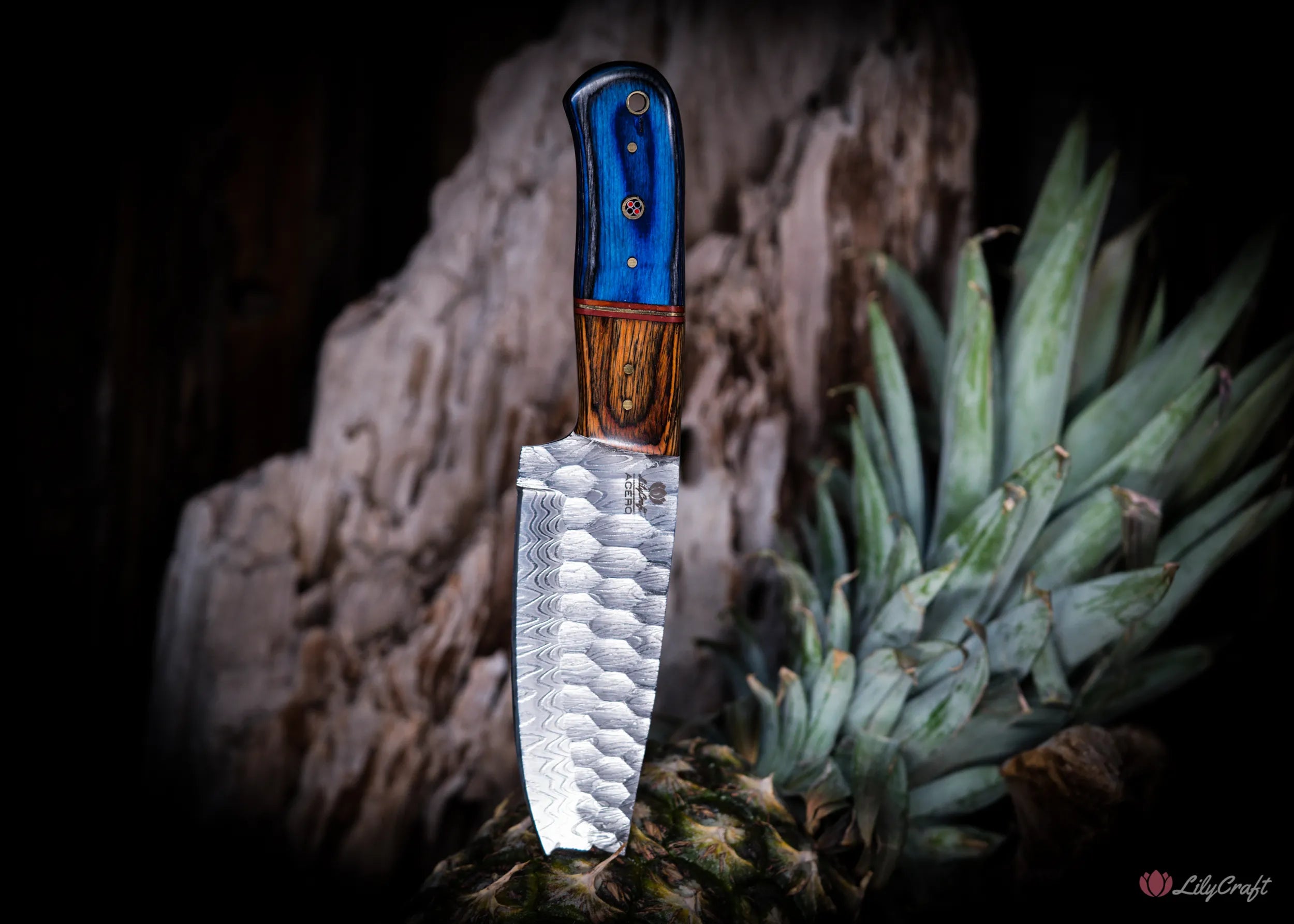 best survival cooking knife