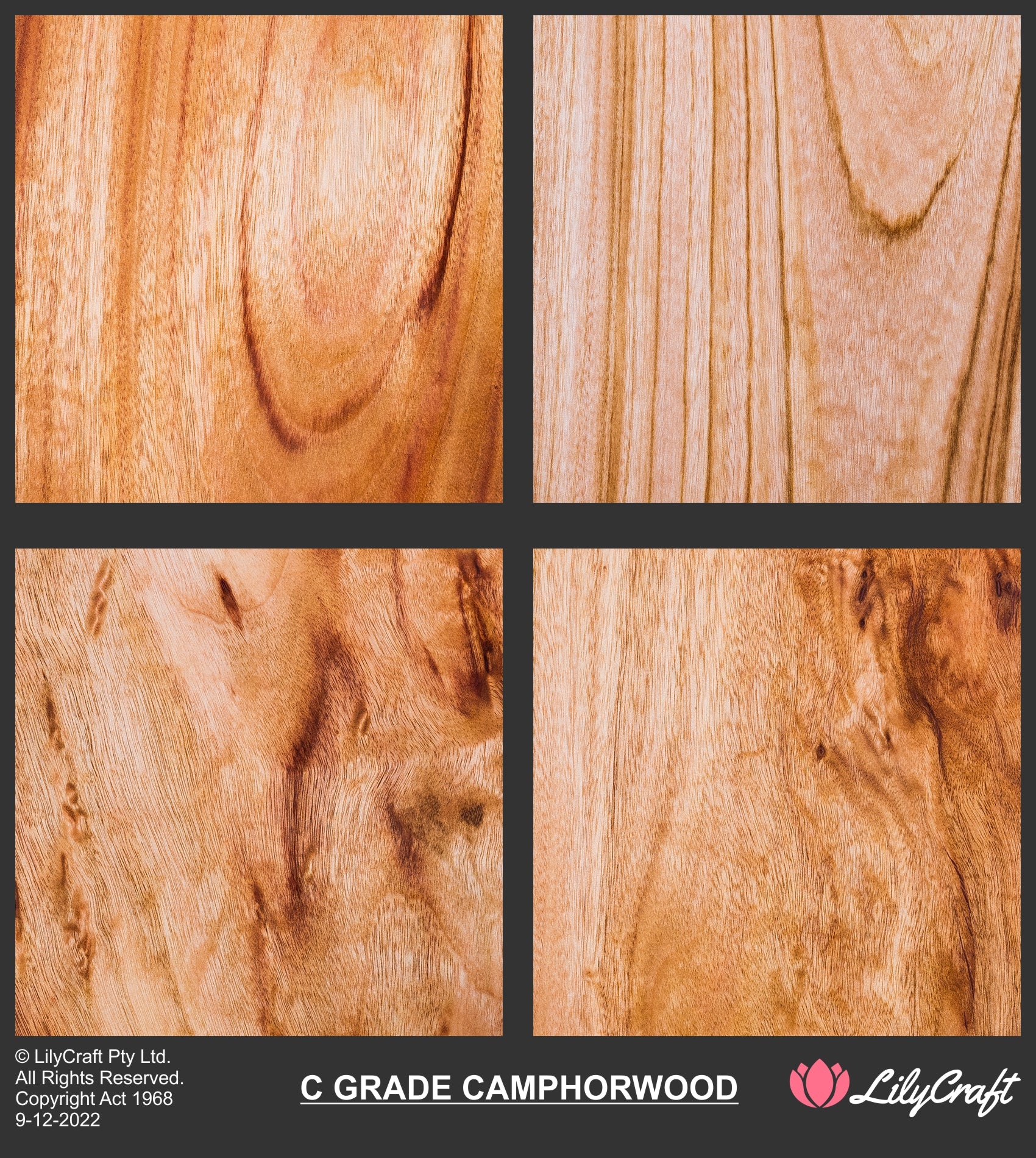 C Grade Camphor woor cutting boards LilyCraft