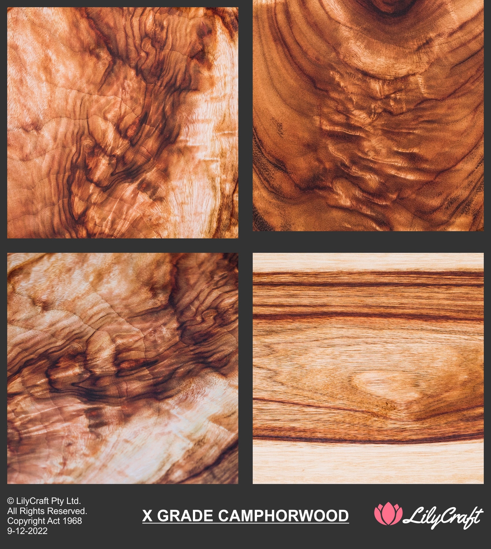 Exquisite Grade Camphor Wood LilyCraft